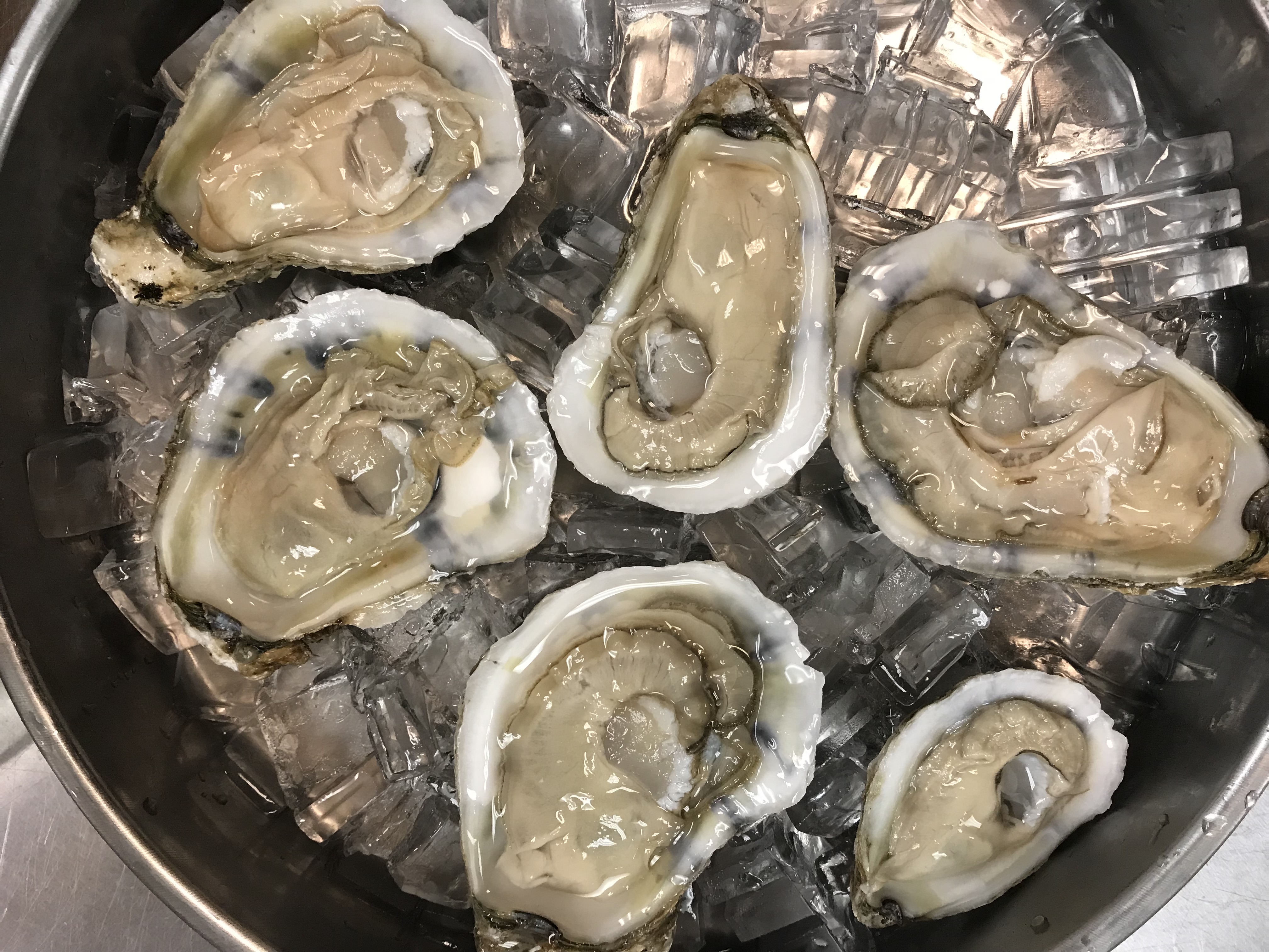 Order 6 pc Fresh Oysters food online from Captain Crawfish store, Bakersfield on bringmethat.com