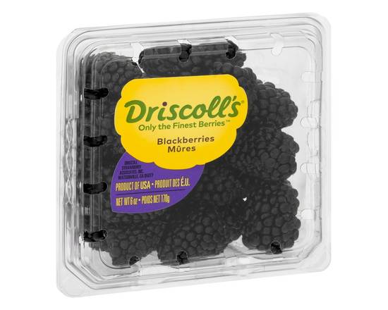 Order Driscoll's · Blackberries (6 oz) food online from Shaw's store, Newburyport on bringmethat.com