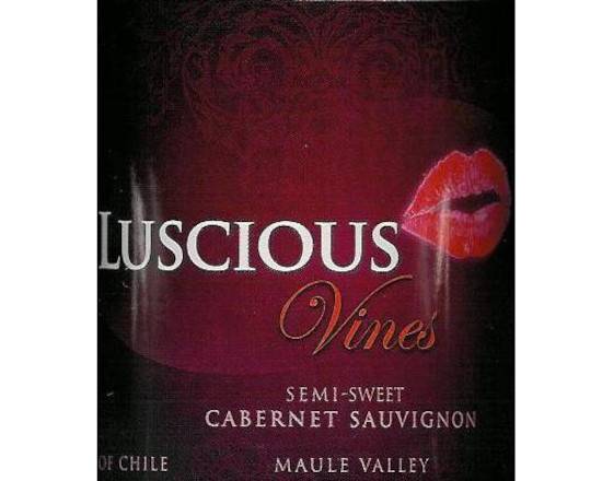 Order Luscious Vines, Cabernet Sauvignon Semi-Sweet Valle del Maule · 1.5 L food online from House Of Wine store, New Rochelle on bringmethat.com