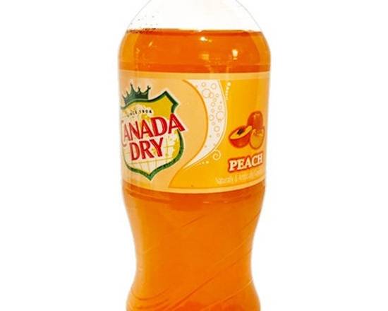 Order Canada Dry Peach food online from Fibber Sports Bar & Grille store, Upper Darby on bringmethat.com