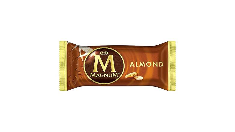 Order Magnum, Almond Ice Cream Bar food online from Route 7 Food Mart store, Norwalk on bringmethat.com