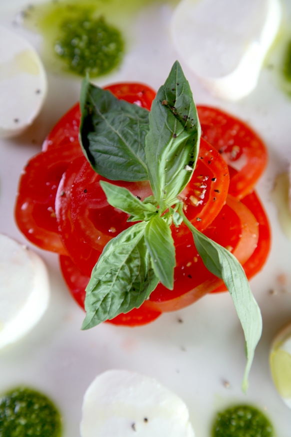 Order Fresh Mozzarella and Tomato food online from The Standard Restaurant & Lounge store, Albany on bringmethat.com