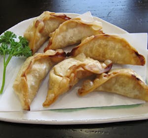 Order 4. Fried Gyoza (8) food online from Ninja Cafe store, High Point on bringmethat.com