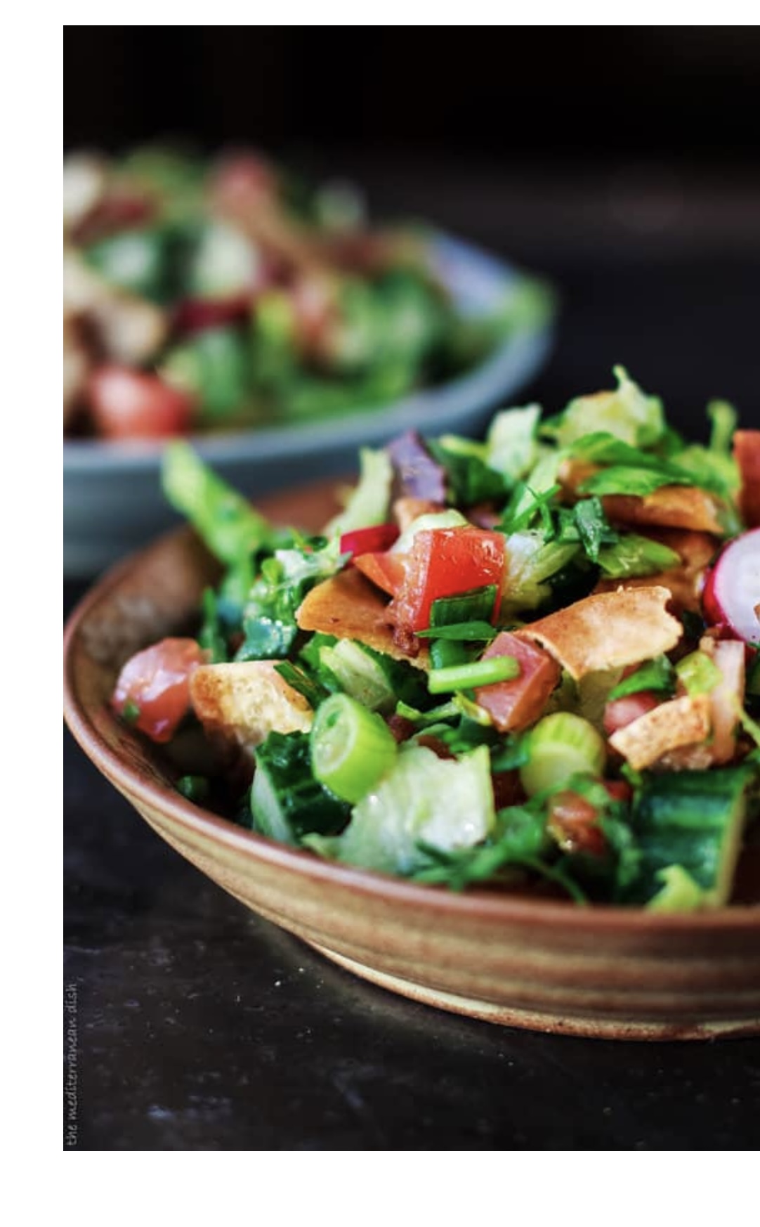 Order Fattoush Salad food online from Fattoush Mediterranean Grill store, Akron on bringmethat.com