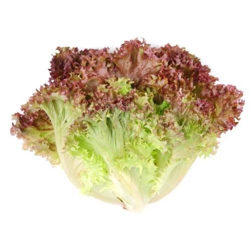 Order Organic Red Leaf Lettuce food online from Albertsons Express store, Kennewick on bringmethat.com