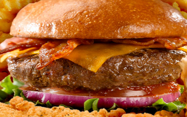 Order 1/3 lb. Cheeseburger  food online from Wienerville Iii store, Elgin on bringmethat.com