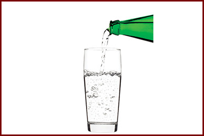 Order 99. Seltzer Water food online from Sultan Indian Cuisine store, Lansdale on bringmethat.com