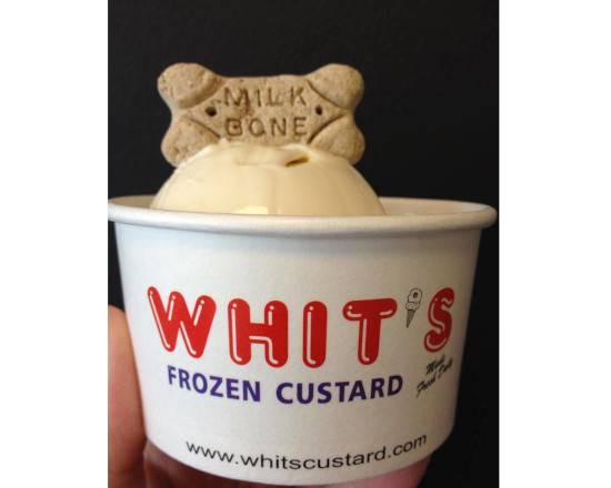 Order Doggie Sundae food online from Whits Frozen Custard store, New Albany on bringmethat.com