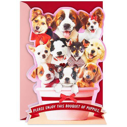 Order Hallmark Funny Valentines Day Card (Puppy Bouquet) S4 - 1.0 ea food online from Walgreens store, Mint Hill on bringmethat.com