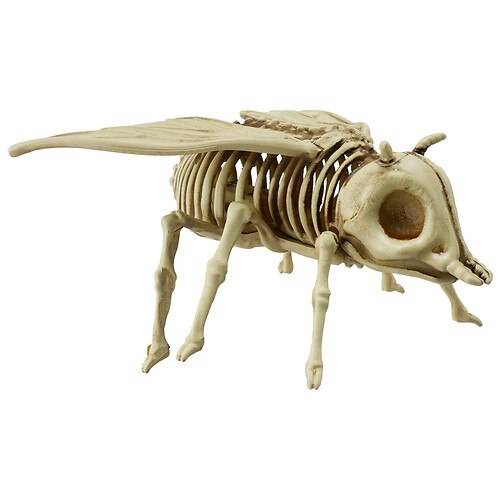 Order Festive Voice MINI SKELETON INSECT - 1.0 ea food online from Walgreens store, LOGANSPORT on bringmethat.com