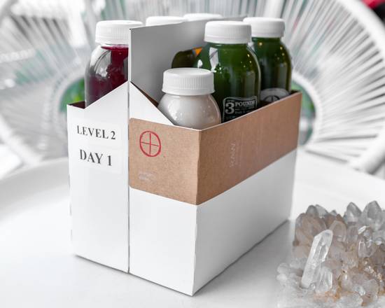 Order One-day Cleanse Level 2 food online from Raw Republic store, New Orleans on bringmethat.com