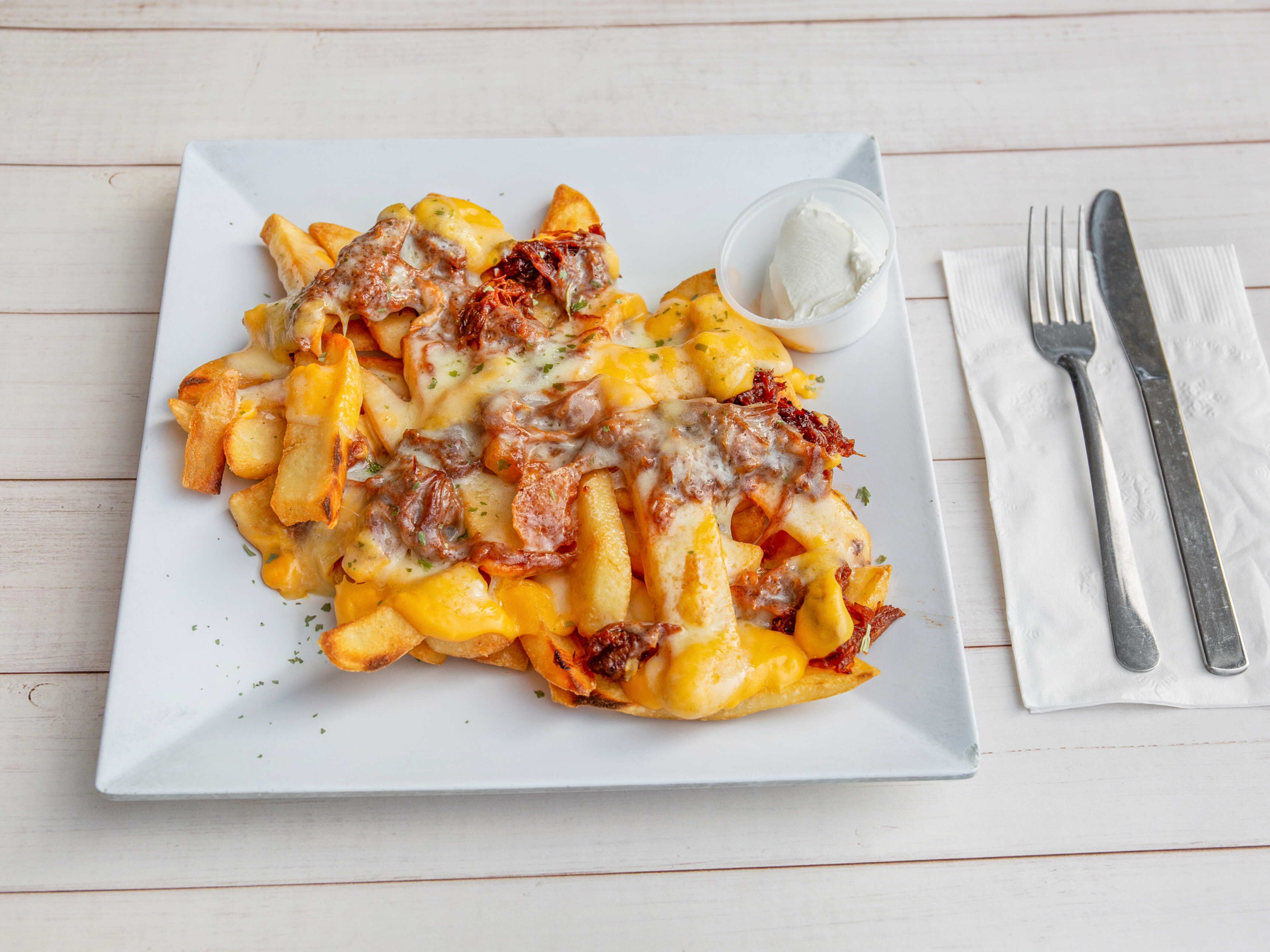 Order Carnita Fries food online from Ale House store, Newtown Square on bringmethat.com