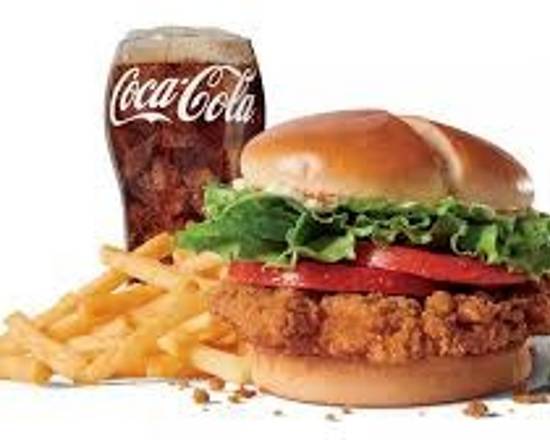 Order Chicken Sandwich Fries Drink food online from Doner Silicon Valley store, San Jose on bringmethat.com