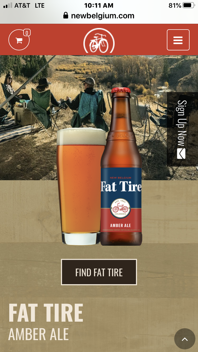 Order Fat Tire food online from Falafel Taco store, Pleasantville on bringmethat.com