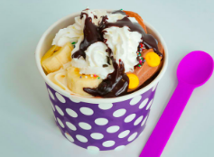 Order Frozen Dessert Cup 12 oz.  food online from Just Soups store, Philadelphia on bringmethat.com