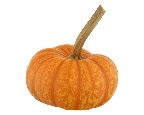 Order Bay Baby Produce · Pumpkin Ornamental (1 ct) food online from Albertsons Express store, Fort Worth on bringmethat.com