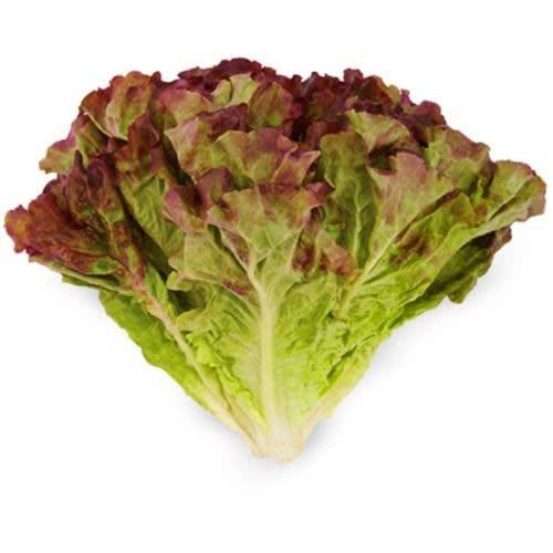 Order Ocean Mist Farms · Red Leaf Lettuce (1 ct) food online from Albertsons Express store, Lake Charles on bringmethat.com