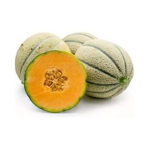 Order Tuscan Style Cantaloupe (1 ct) food online from Albertsons Express store, Alexandria on bringmethat.com