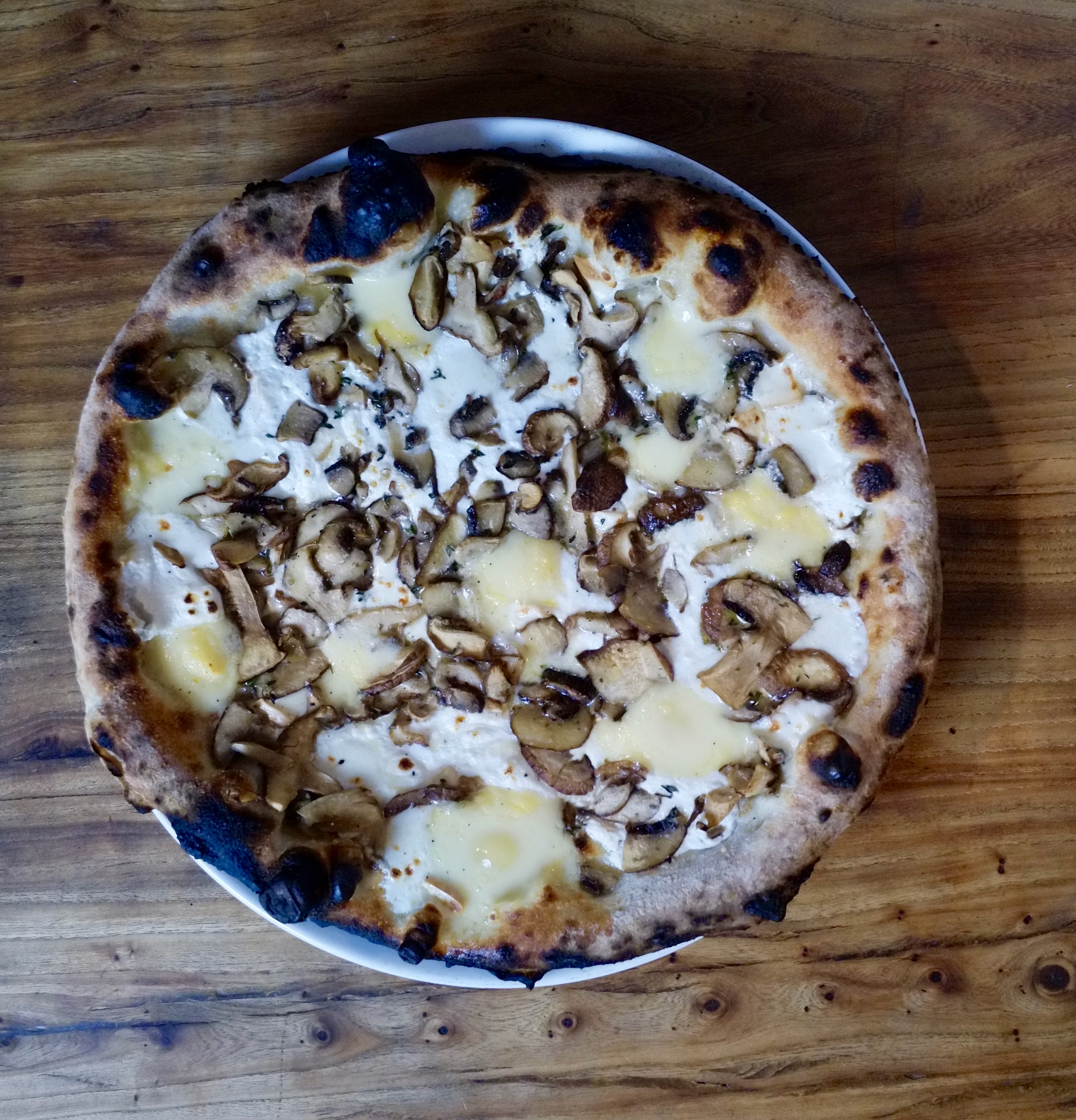 Order Mushroom Pizza food online from Pizza Moto store, Brooklyn on bringmethat.com