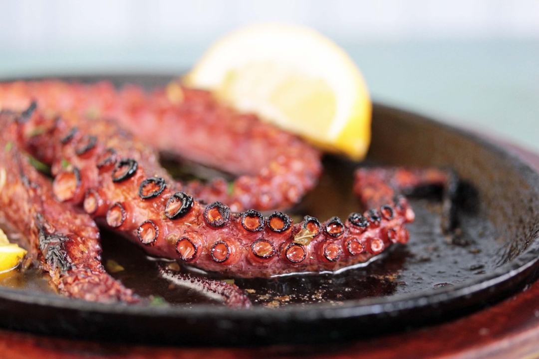 Order Wood Fired Octopus food online from Tufino pizzeria napoletana store, Astoria on bringmethat.com