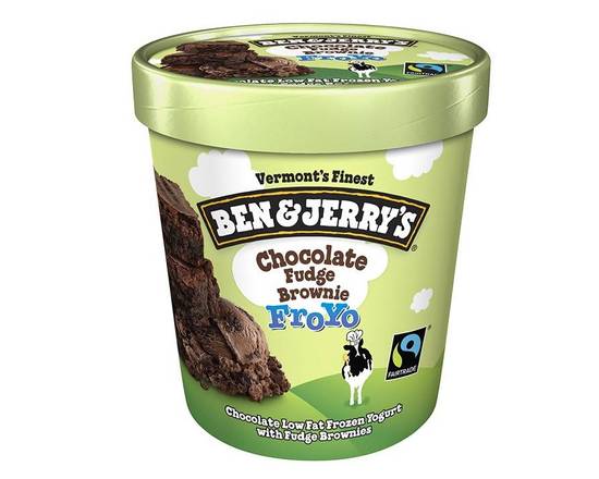 Order Ben And Jerry's Chocolate Fudge Brownie Froyo (1 pt) food online from Classic Candy Shack store, San Francisco on bringmethat.com