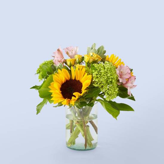 Order Butterfly Kisses Bouquet food online from Proflowers store, Corning on bringmethat.com