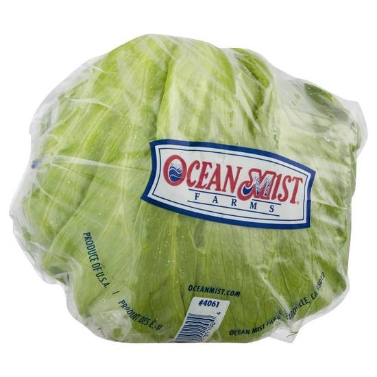 Order Ocean Mist · Lettuce (1 ct) food online from Safeway store, Grass Valley on bringmethat.com