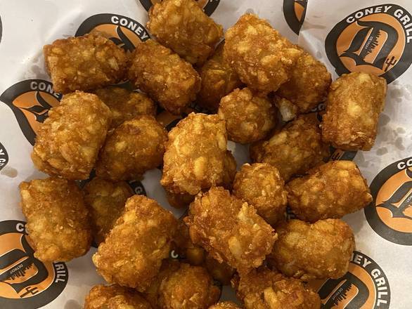 Order TATER TOTS food online from Detroit Coney Grill store, Scottsdale on bringmethat.com