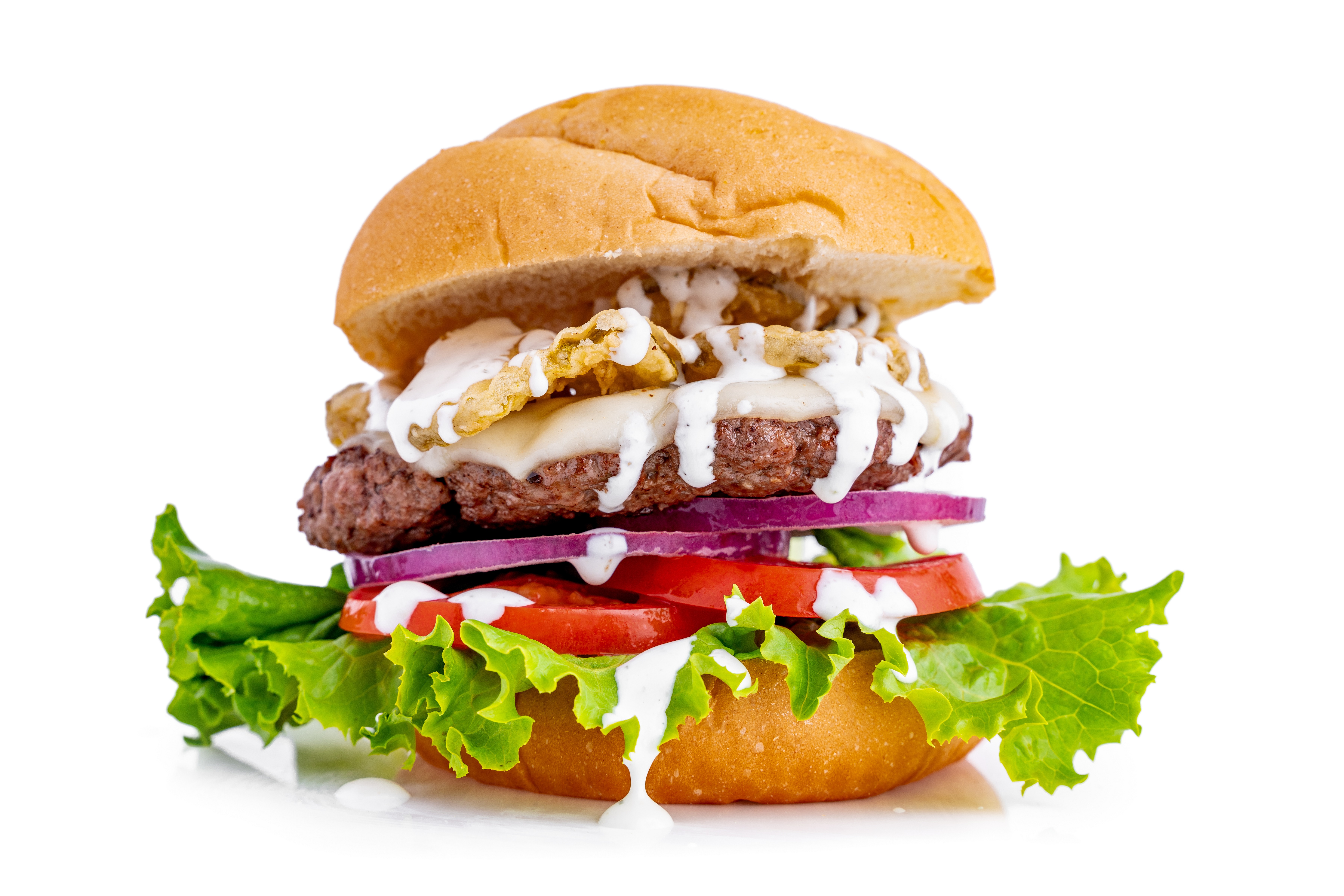 Order Fried Pickle Burger food online from Jefferson store, Hiram on bringmethat.com