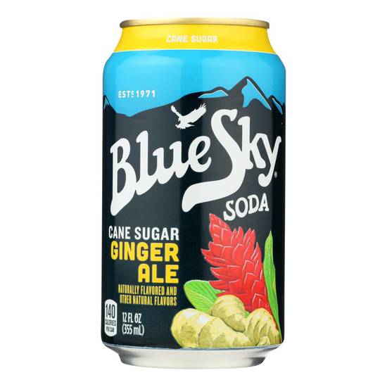 Order Blue Sky Ginger Ale Cane Sugar food online from Deerings Market store, Traverse City on bringmethat.com