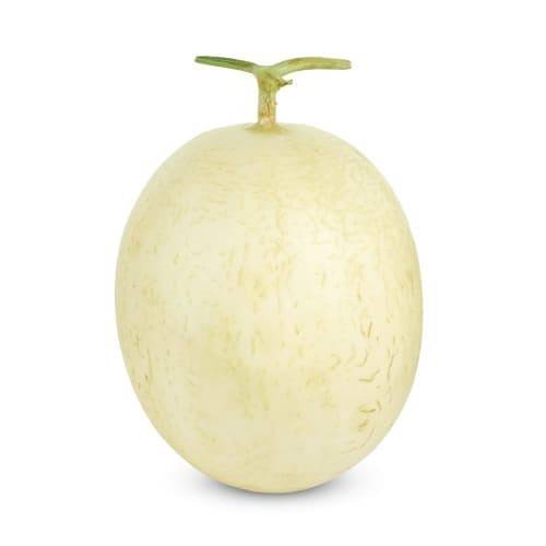 Order Organic Honeydew Melon (1 melon) food online from Albertsons Express store, Surprise on bringmethat.com