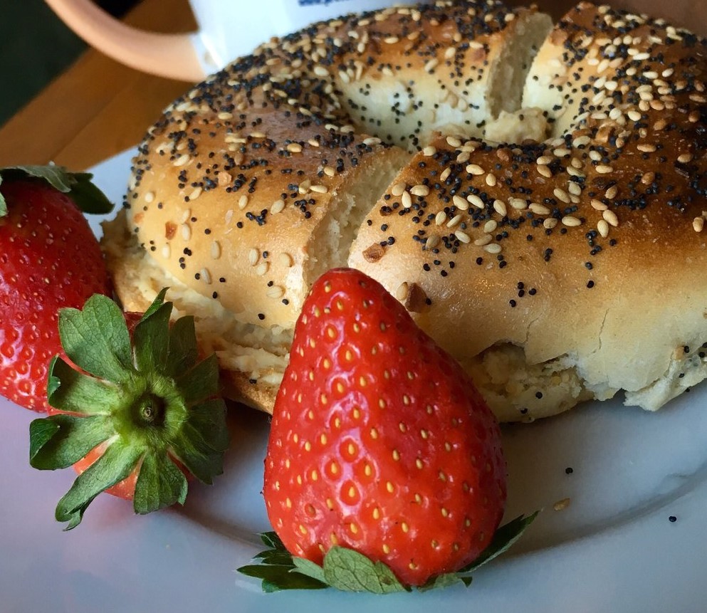Order Bagel with Cream Cheese food online from Professor Java's Coffee Sanctuary store, Albany on bringmethat.com