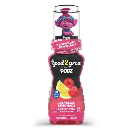 Order Good2Grow Raspberry Lemonade Flavored Juice Beverage PODZ Assorted Character Tops (10 oz) food online from Rite Aid store, READING on bringmethat.com
