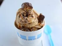 Order Shoppe Salted Caramel Frozen Yogurt food online from The Yogurt Shoppe Pacific Palisades store, Pacific Palisades on bringmethat.com