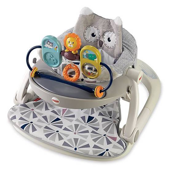 Order Fisher-Price® Owl Sit-Me-Up Floor Seat food online from Bed Bath & Beyond store, Lancaster on bringmethat.com