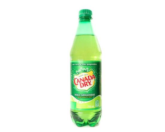 Order Ginger Ale Bottle food online from Famous Gyro Bar store, Secaucus on bringmethat.com