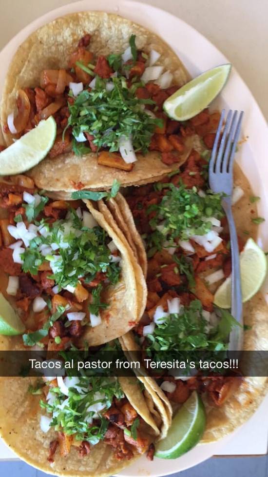 Order Taco Al Pastor food online from Teresita Restaurant store, North Chicago on bringmethat.com