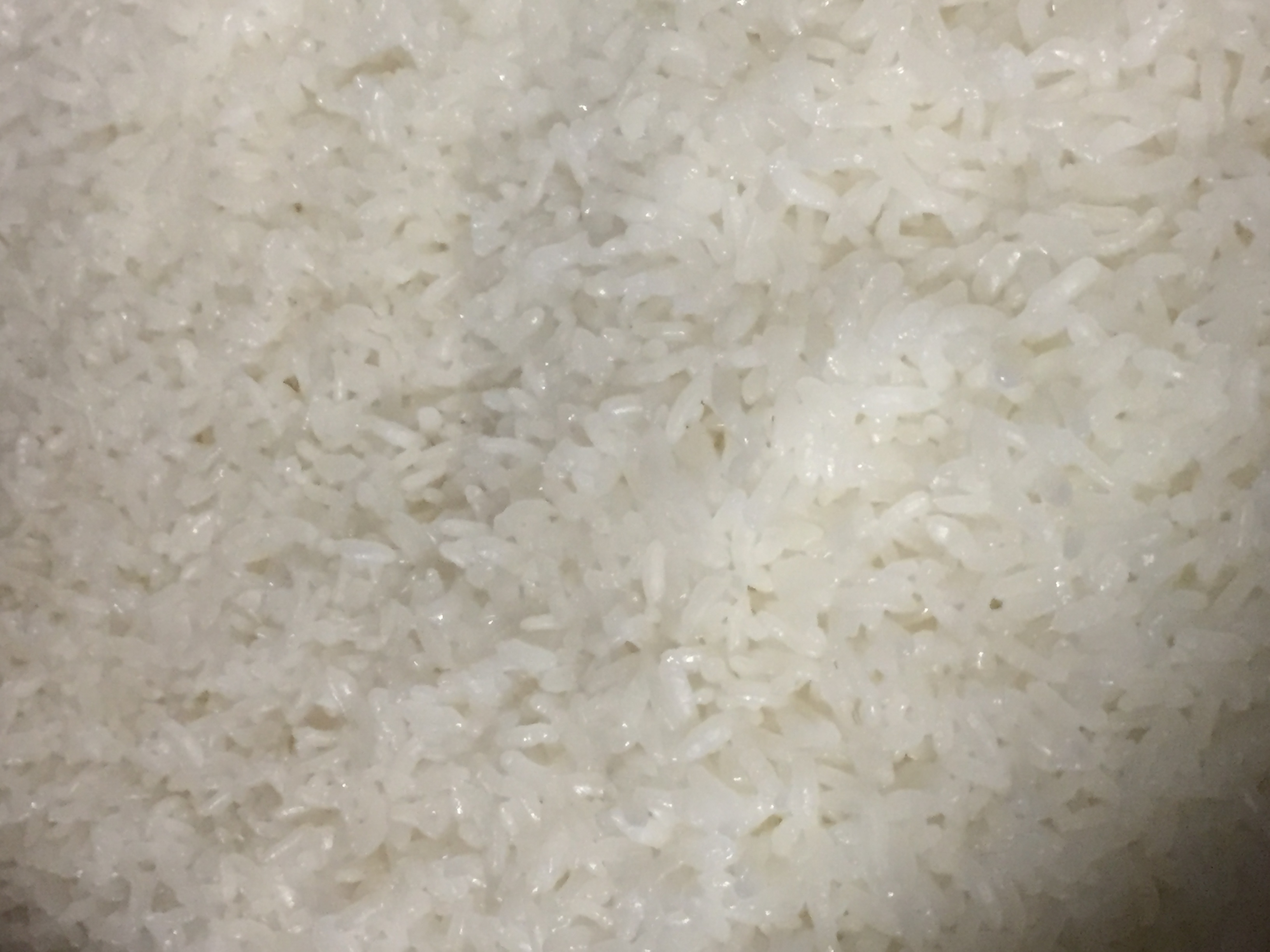 Order White Rice food online from Yeowoosai store, Chicago on bringmethat.com