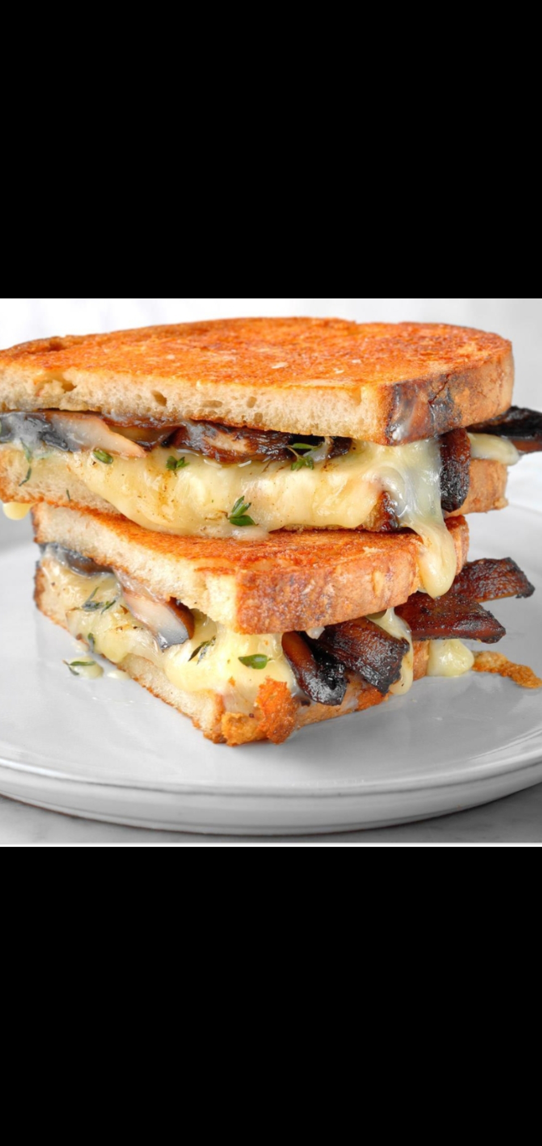 Order Grilled Cheese With Mushrooms  food online from American Gourmet Foods Deli store, New York on bringmethat.com