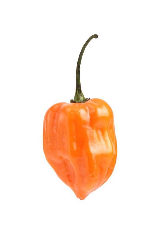 Order Habanero Peppers (1 pepper) food online from Albertsons store, Saint George on bringmethat.com