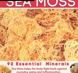 Order 8 oz. Raw Organic Sea Moss food online from Mama Lula Creole Seasoning store, Atlanta on bringmethat.com