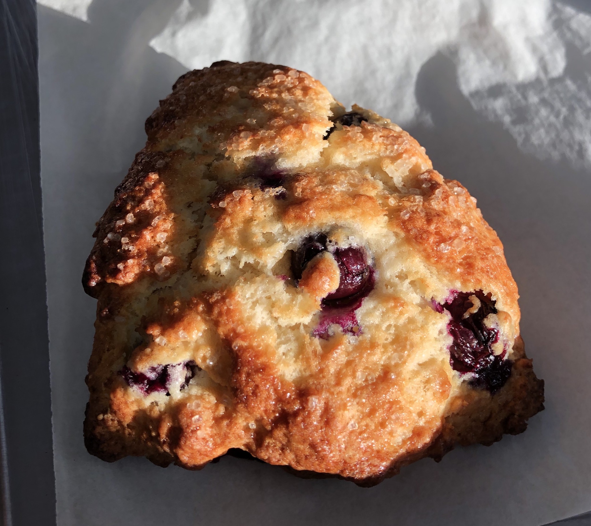 Order Scone- Blueberry food online from Ra Coffee Company store, Goose Creek on bringmethat.com
