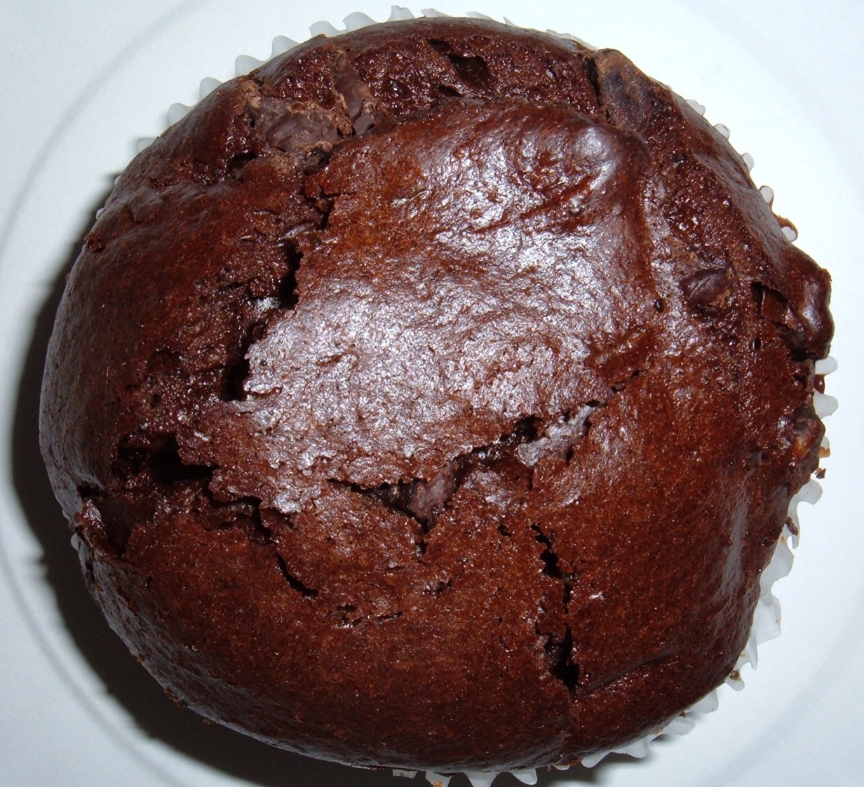 Order Chocolate Muffin food online from Mocha Express store, Portland on bringmethat.com