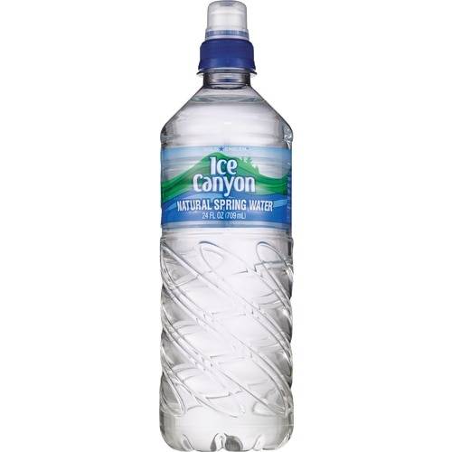 Order Gold Emblem Ice Canyon Natural Spring Water, 24 OZ food online from Cvs store, FALLS CHURCH on bringmethat.com