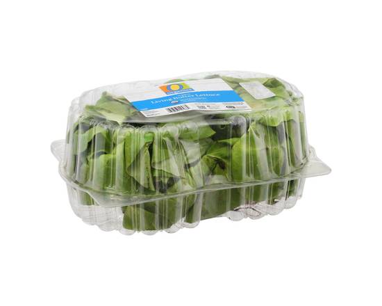 Order O Organics · Organic Living Butter Lettuce (2 ct) food online from Safeway store, Napa on bringmethat.com