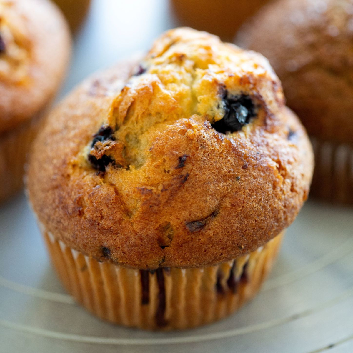 Order Blueberry Muffin food online from Ava Roasteria store, Beaverton on bringmethat.com