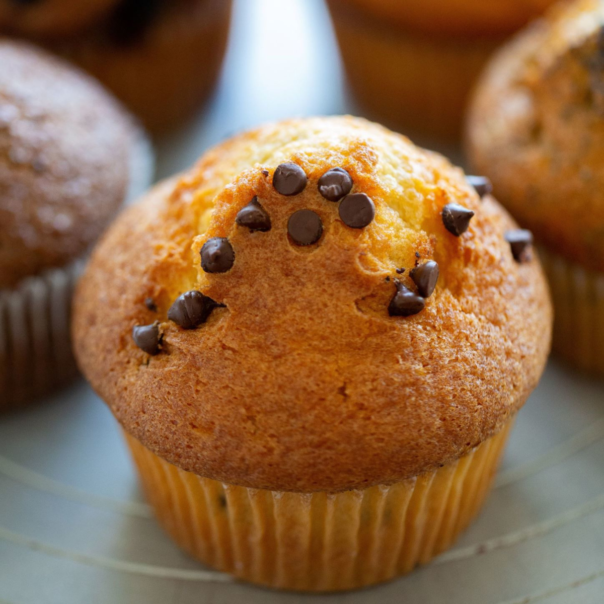 Order Chocolate Chip Muffin food online from Ava Roasteria store, Beaverton on bringmethat.com