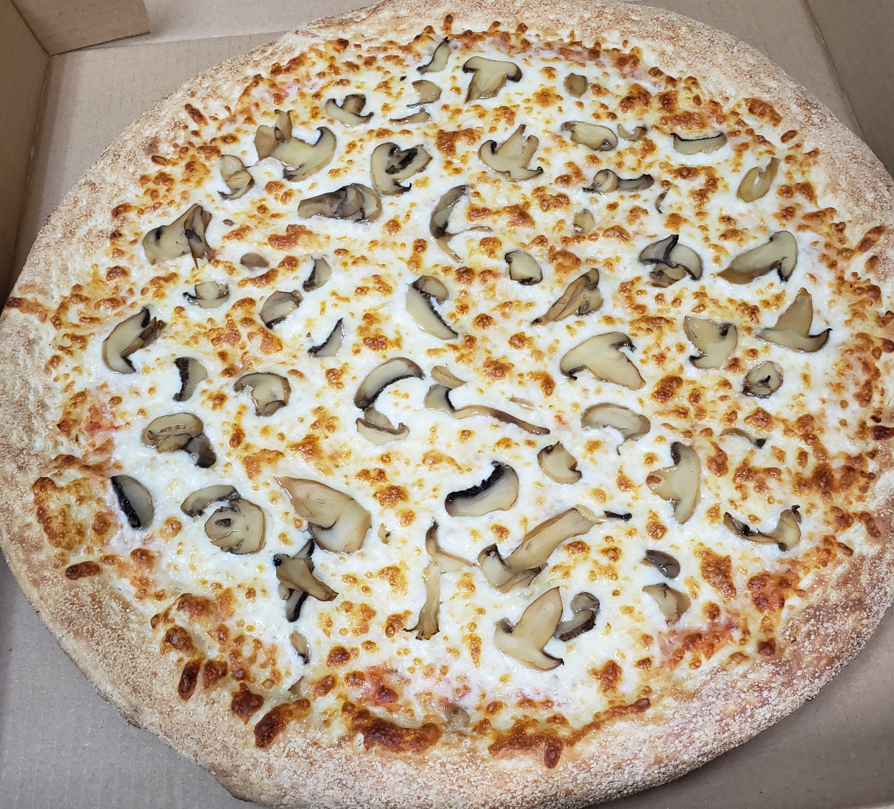 Order 1 Medium 1-Topping Pizza Special food online from Pizza Mart store, Baltimore on bringmethat.com