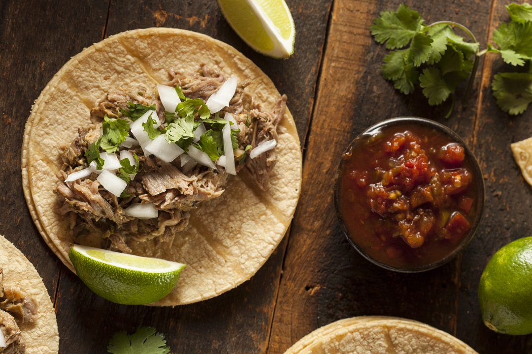 Order Carnitas  Meal (for 4 ppl) food online from Copal Progressive Mexican Cuisine store, Lincoln on bringmethat.com
