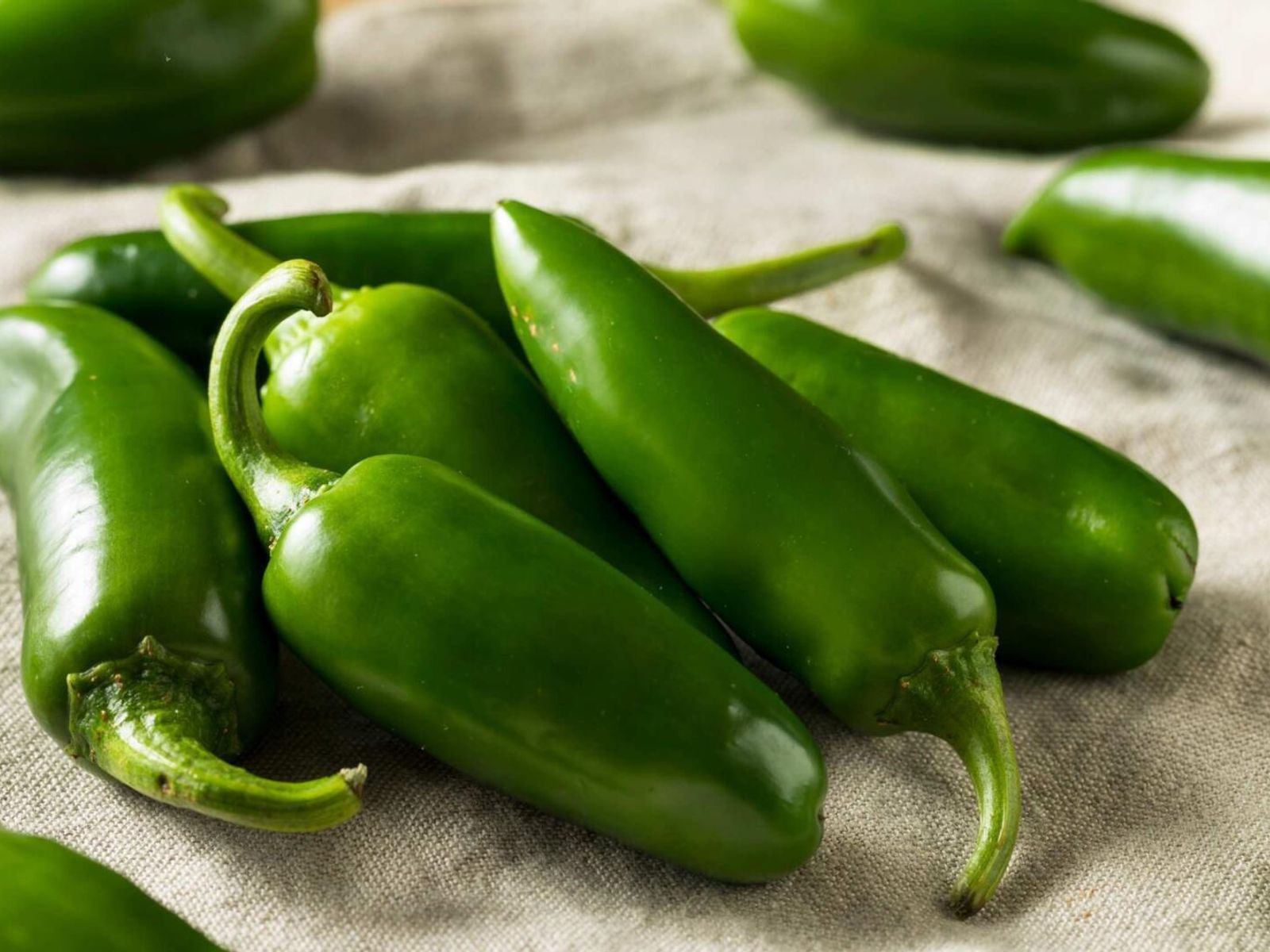 Order Jalapeno Pepper food online from The Great Outdoors Sub Shop store, Fort Worth on bringmethat.com